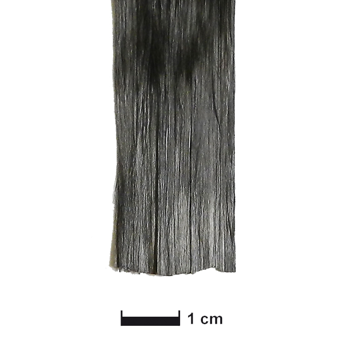 SIGRAFIL®-C50-24k-1600-tex1.jpg